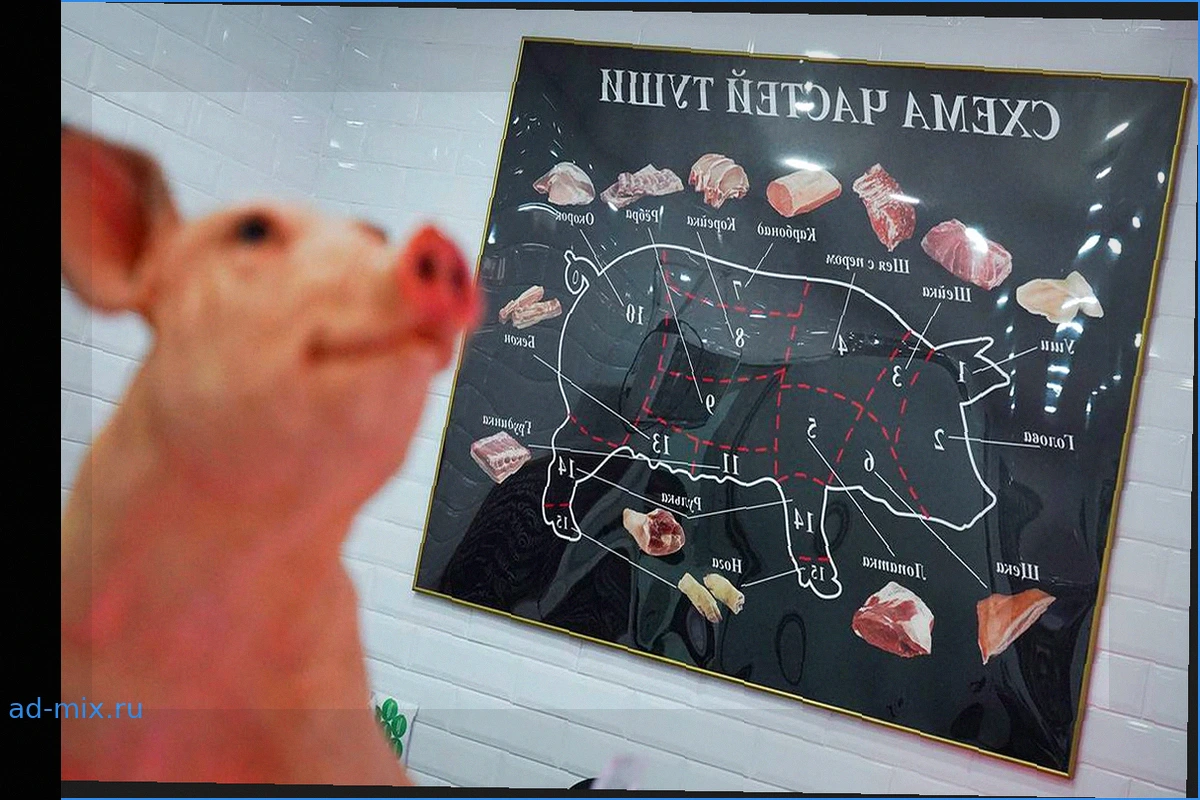 Падение цен на свинину в России: рынок перенасыщен