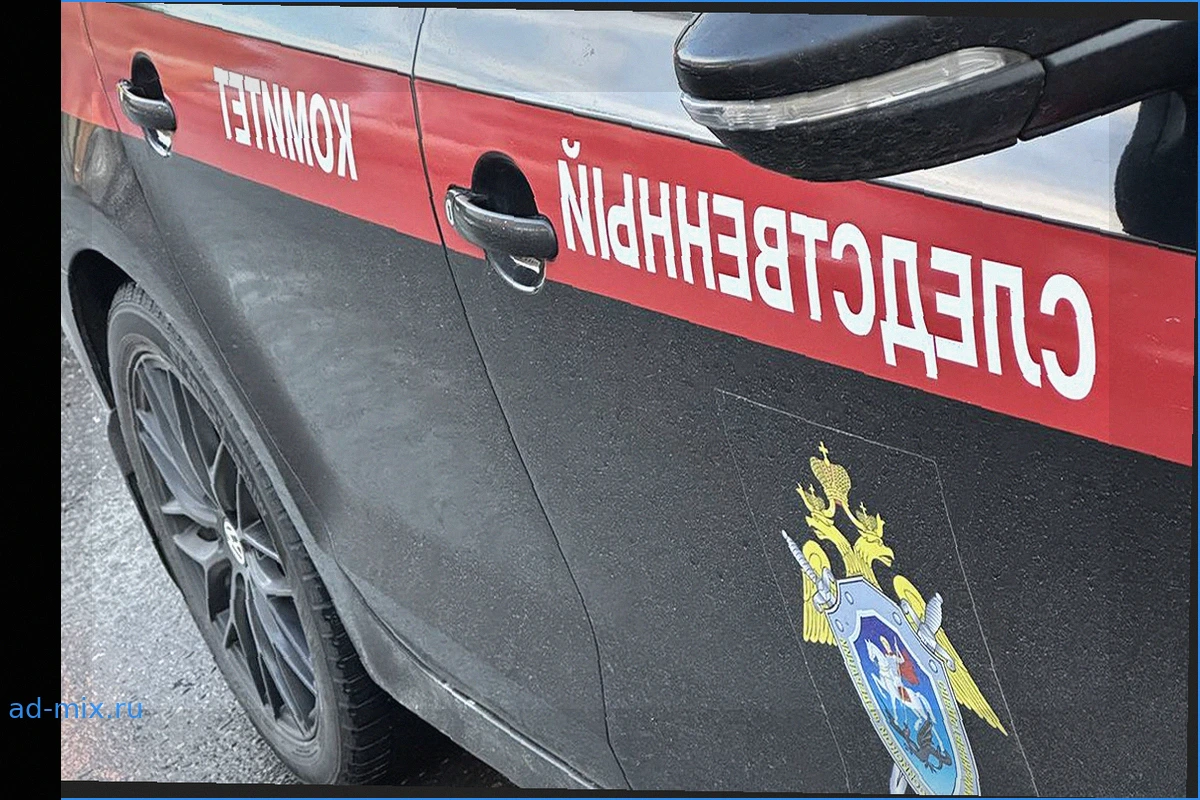 СК РФ раскрыл новые детали поисков пропавшей в тайге семьи Усольцевых
